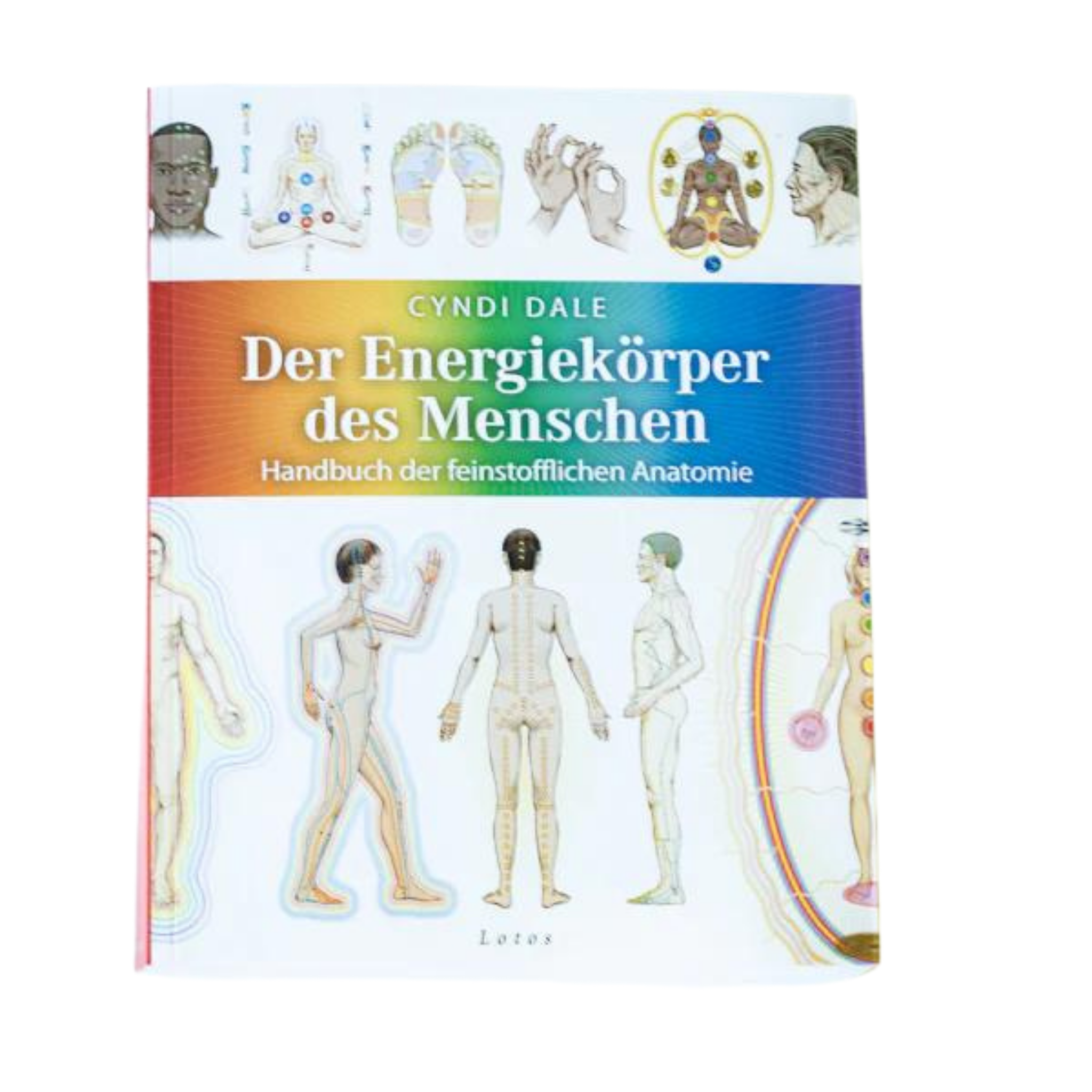 Der Energiekörper des Menschen