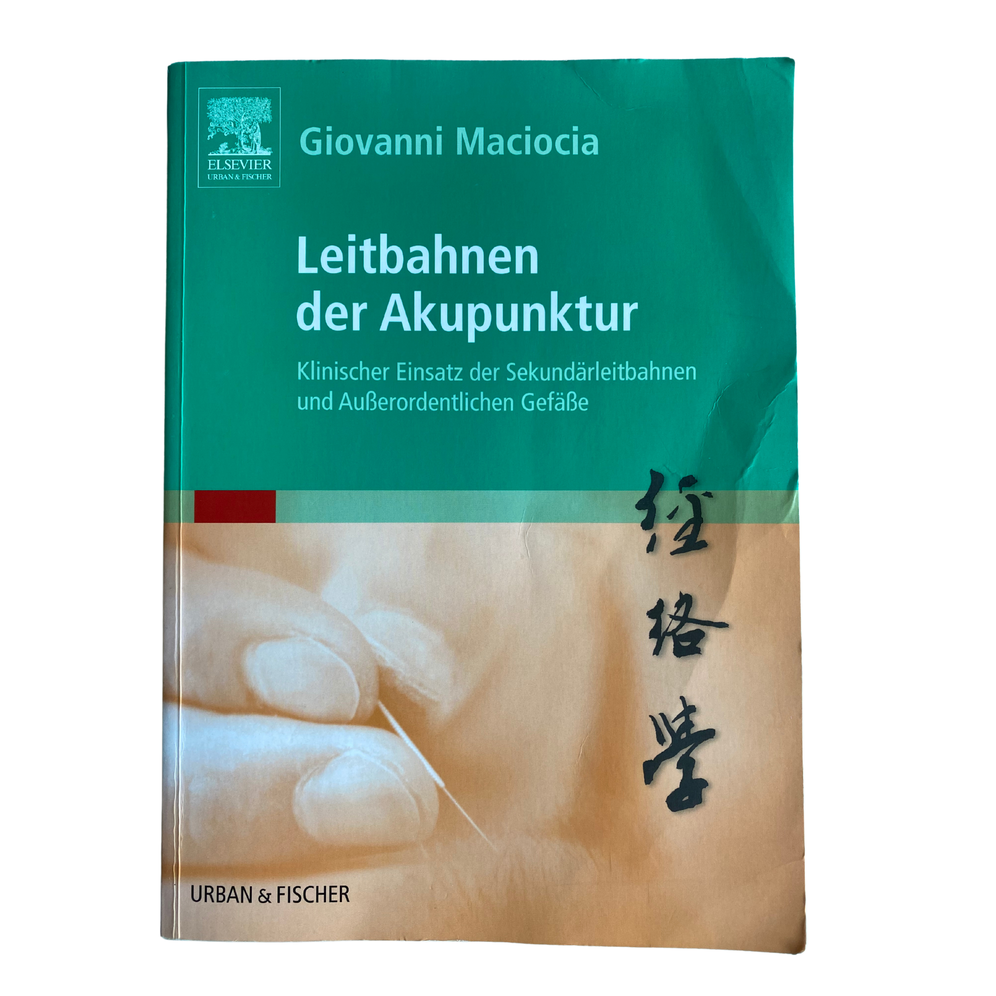 Leitbahnen der Akupunktur - Klinischer Einsatz der Sekundärleitbahnen und Außerordentlichen Gefäße