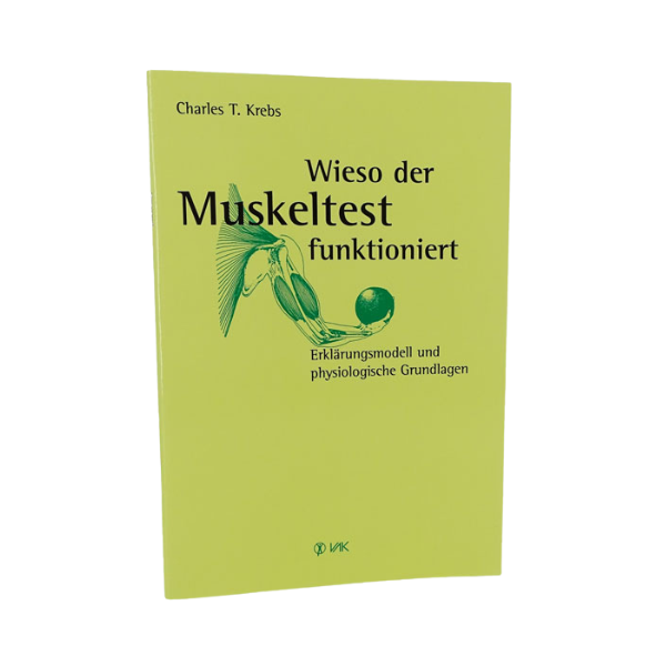 Wieso der Muskeltest funktioniert