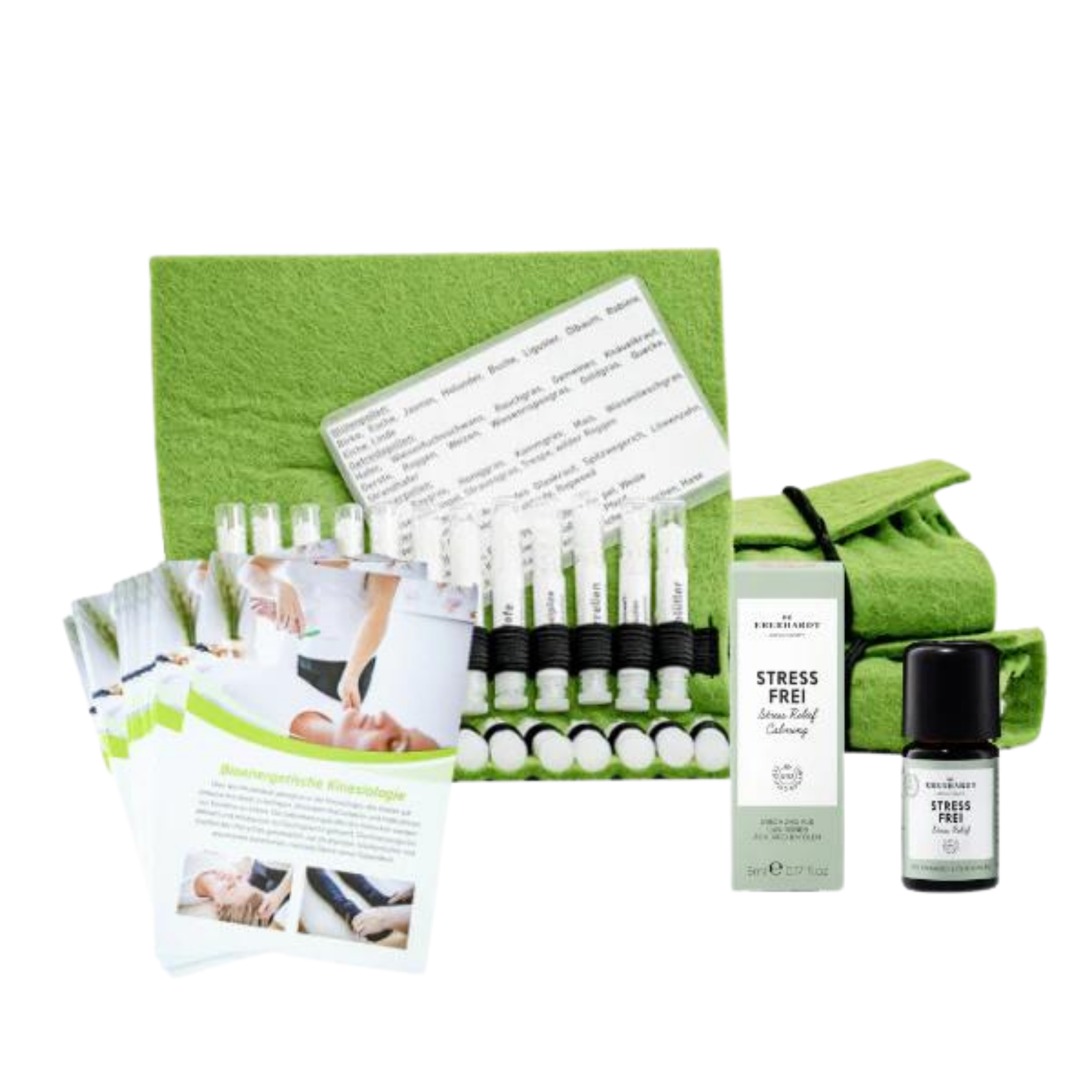 Bioenergetische Kinesiologie Practitioner Bundle