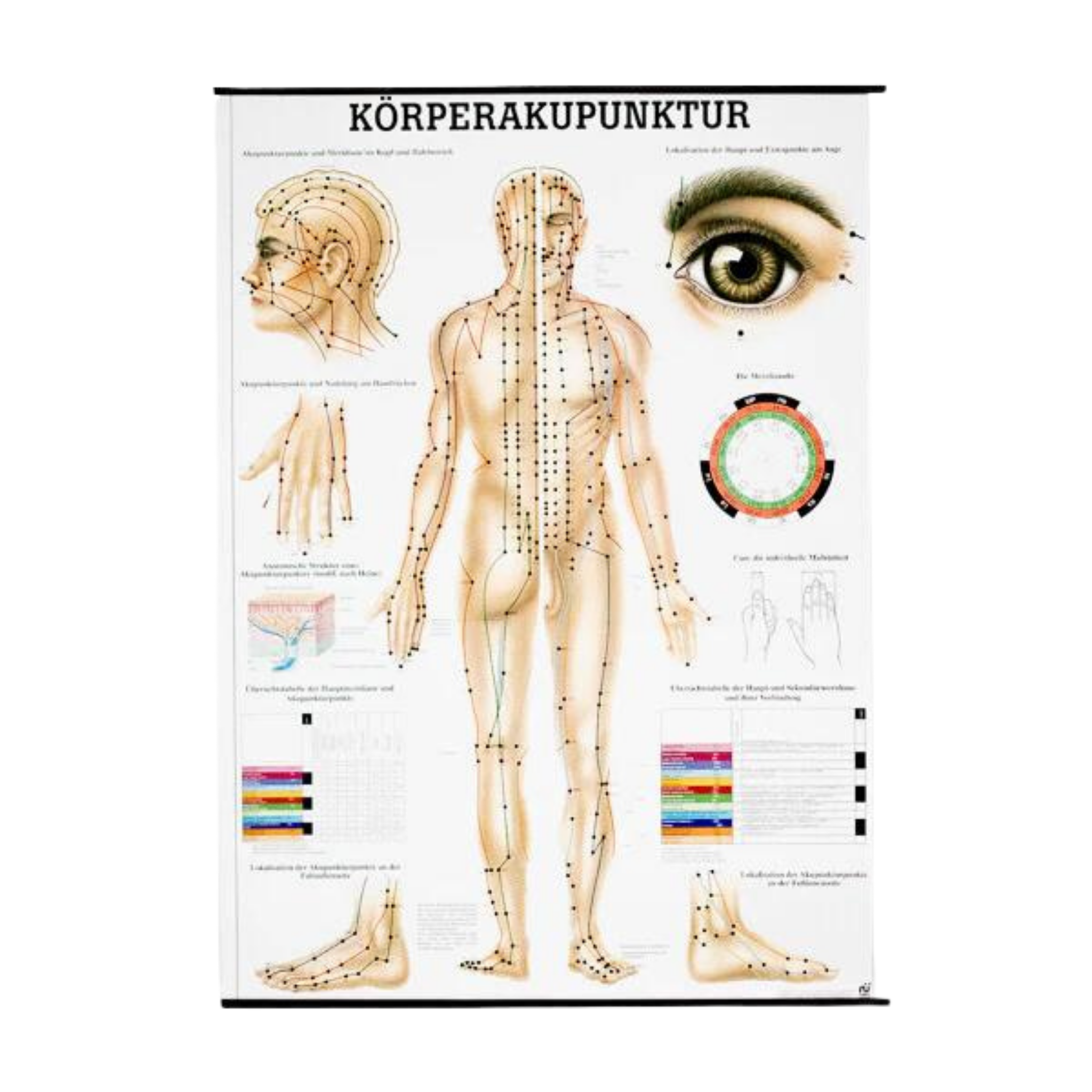 Bioenergetische Kinesiologie Starter Bundle