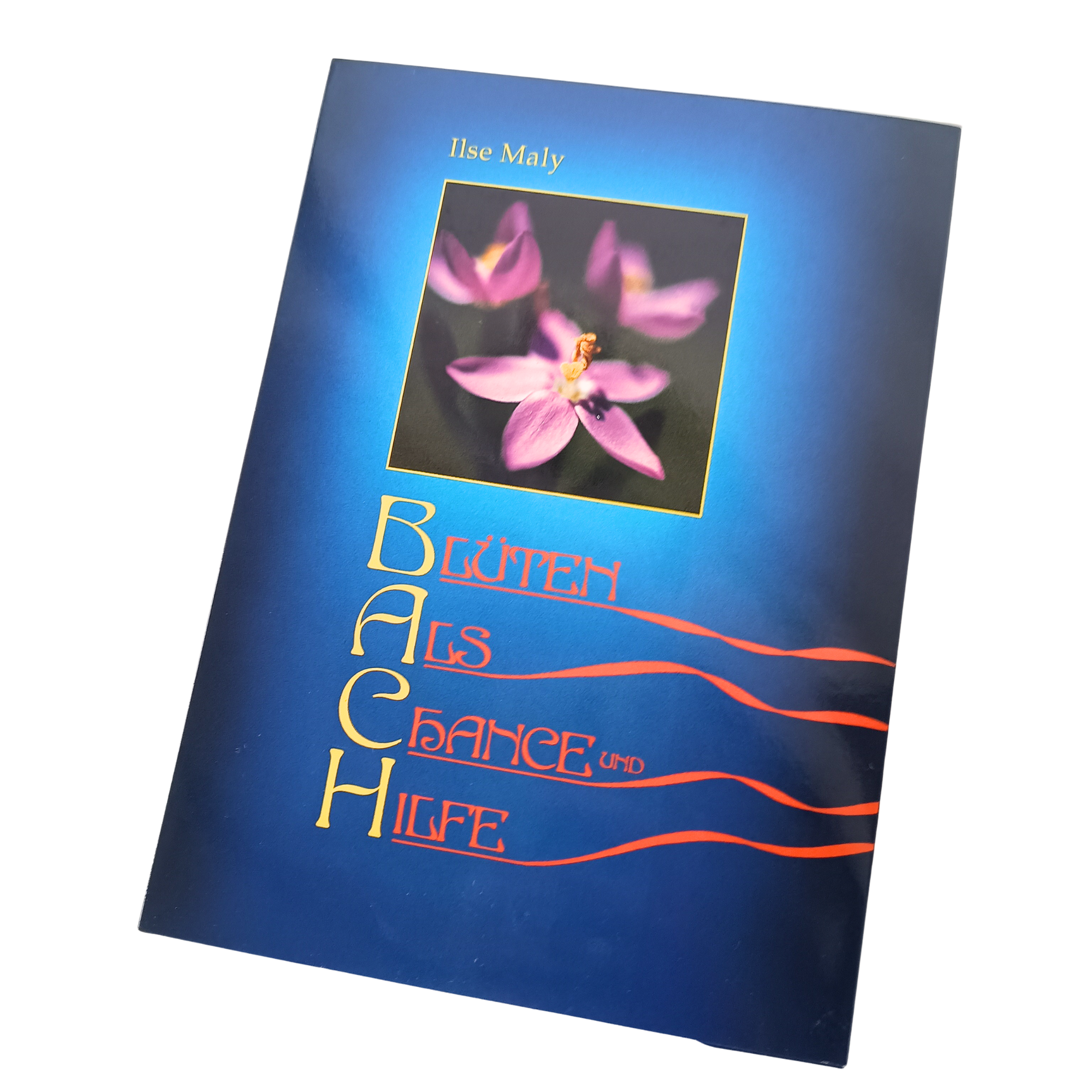 Blüten als Chance und Hilfe