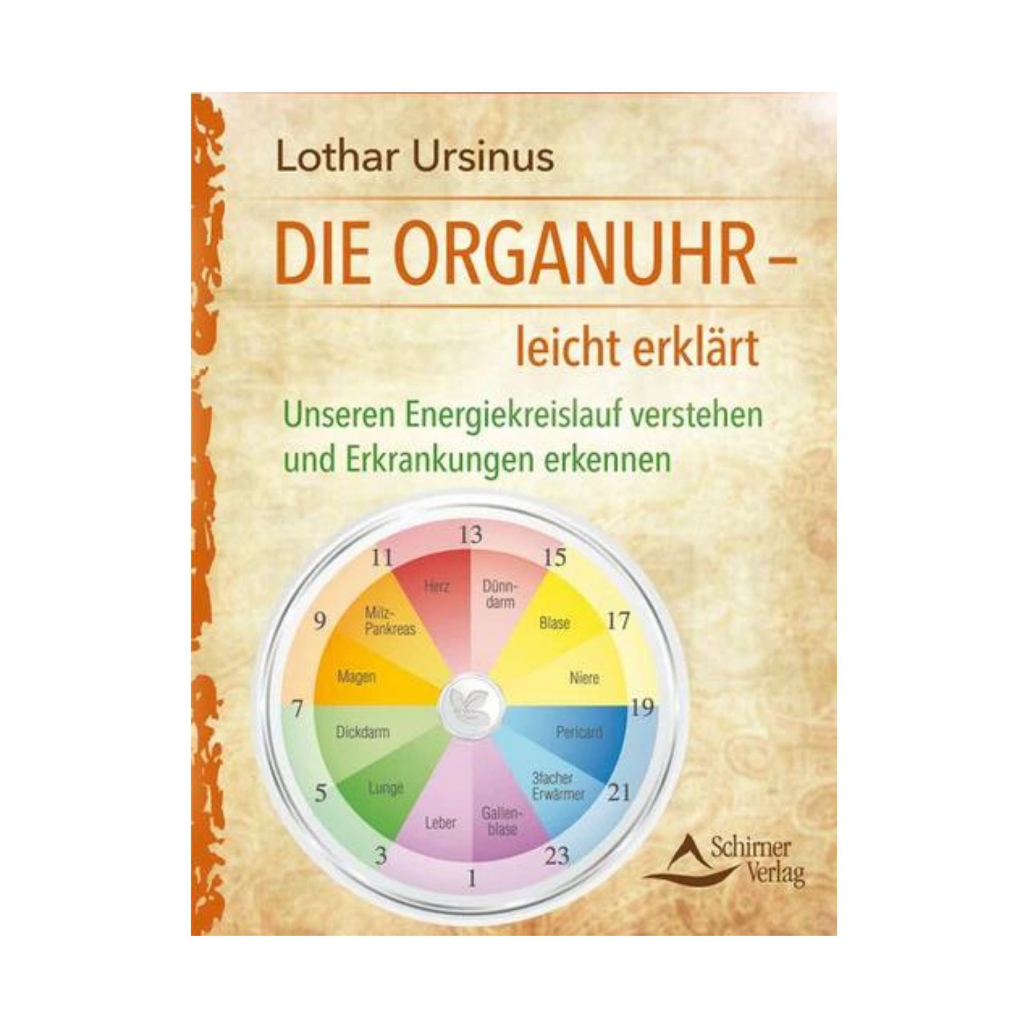 Die Organuhr - leicht erklärt