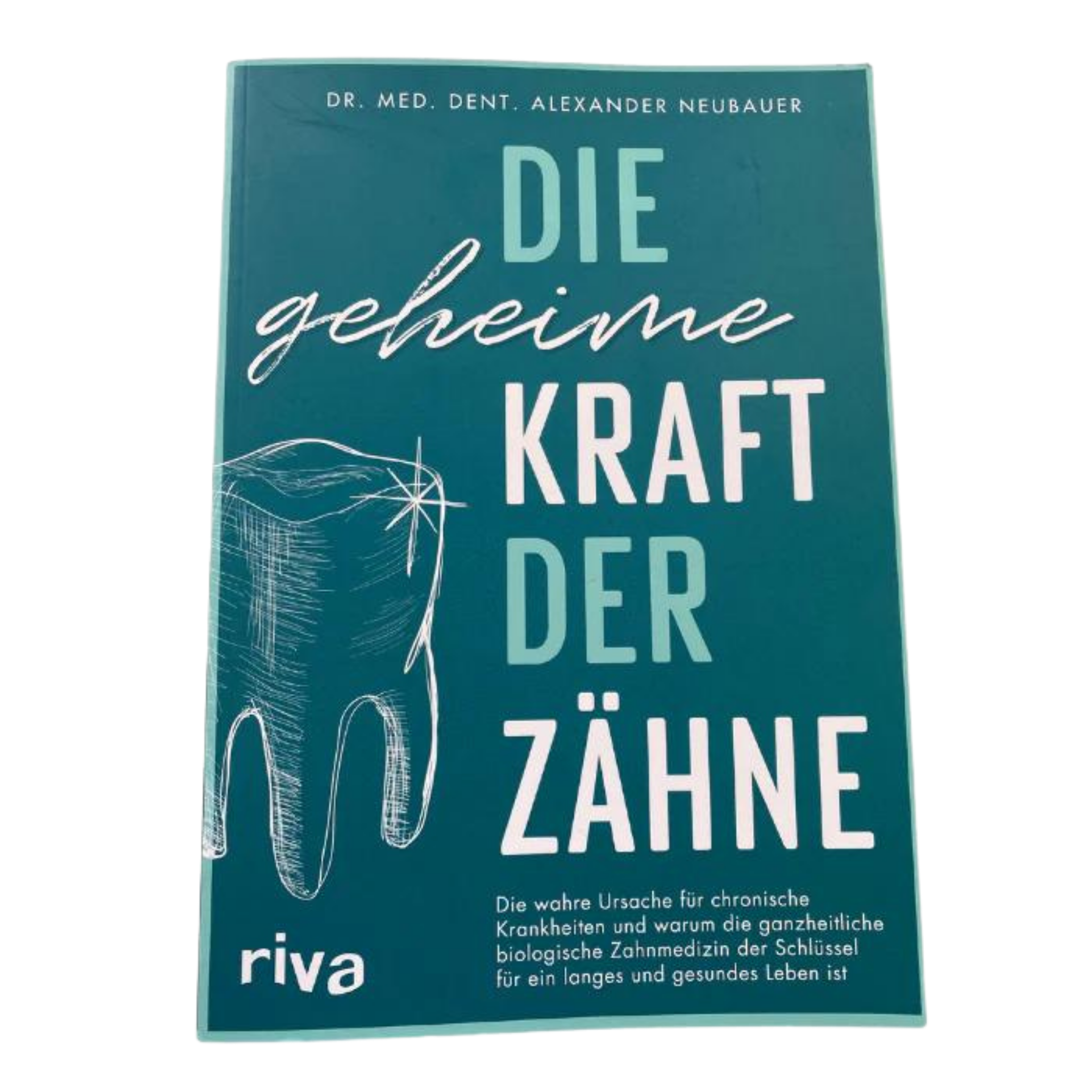 Die geheime Kraft der Zähne