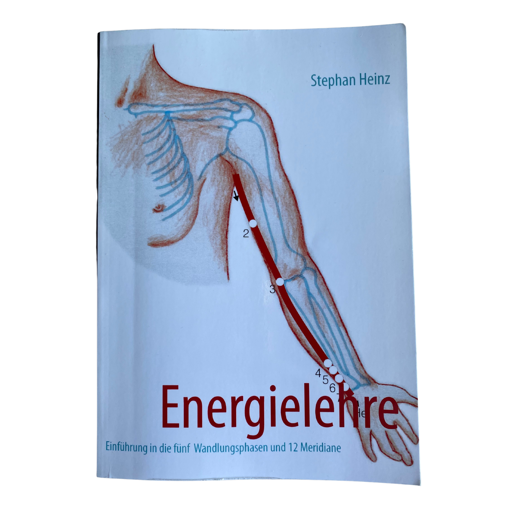 Energielehre – Einführung in die 5 Wandlungsphasen und 12 Meridiane