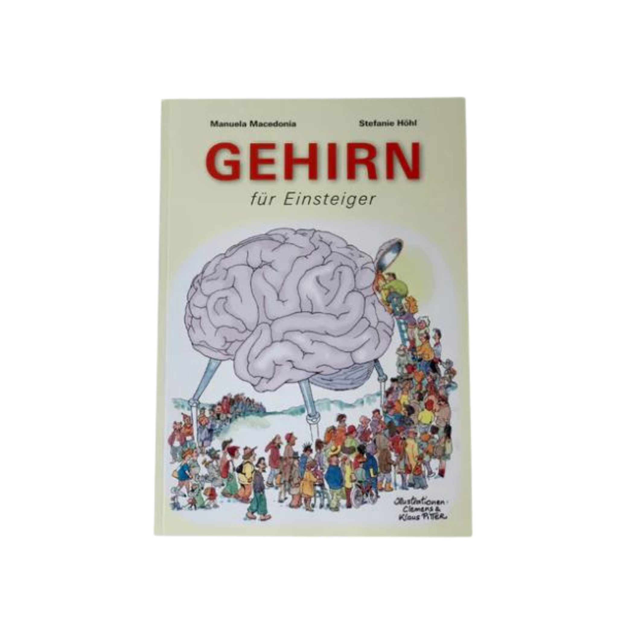 Gehirn für Einsteiger