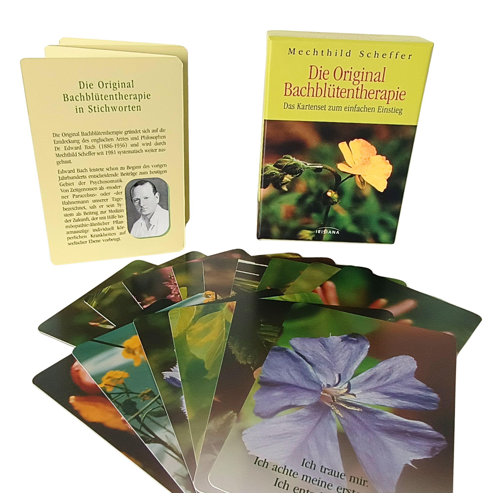 Kartenset Die Original Bachblütentherapie