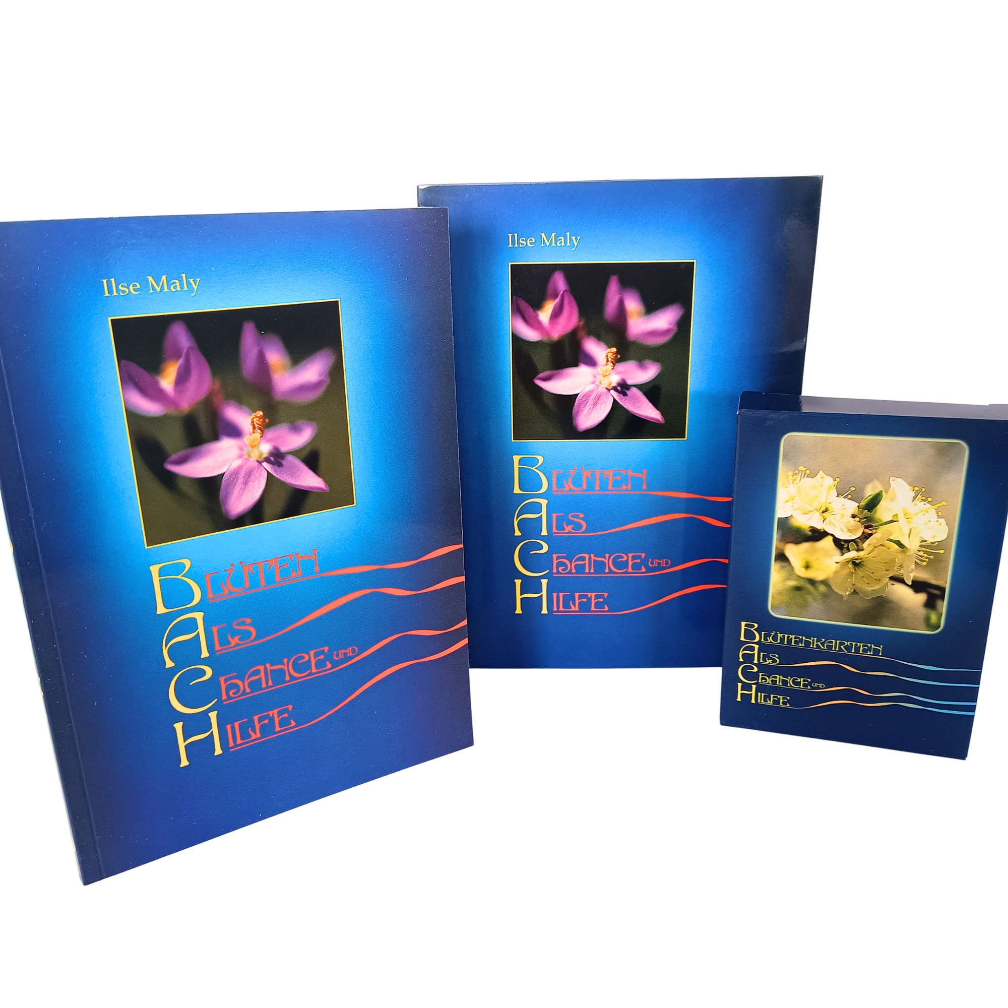 Buch- und Kartenset Blüten als Chance und Hilfe