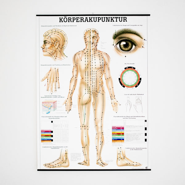 Lehrtafel "Körperakupunktur" XL